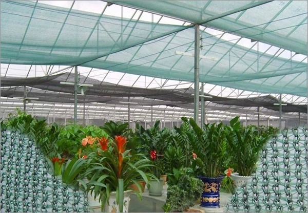 Flower Protection Covering Plastic Mesh