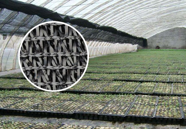HDPE Plastic Netting for Agricultural Wind Control and Shading Uses