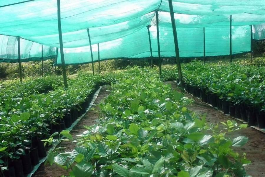 Greenhouse Covering Shade Screen