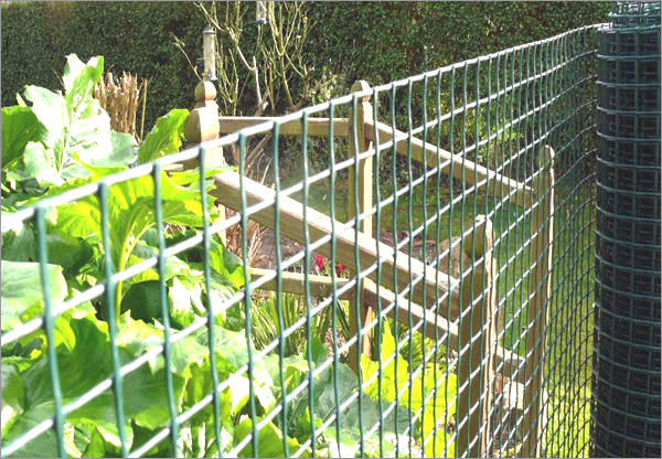 Plastic mesh fencing in 5x5mm mesh