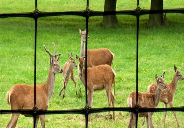 Plastic Net Deer Fence Garden Fence Deer Control Fencing