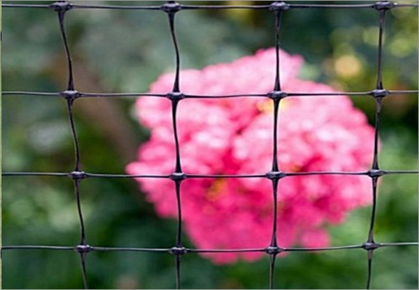 Protective fence for gardens and plants