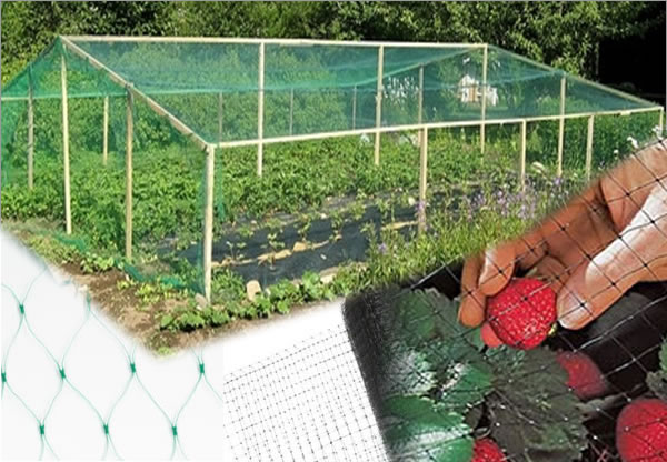 Bird Protection Netting 30x30mm Net 2mm Cord Antibird Crop Plant Garden Veg 