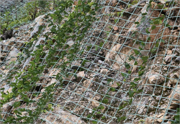 Solid trellis for climbing plant netting