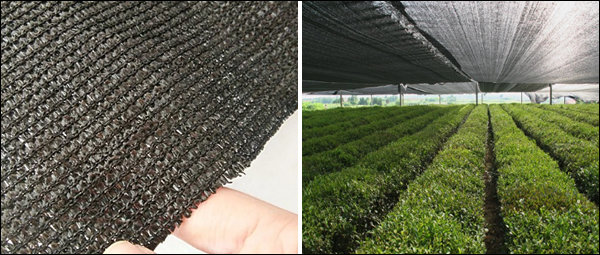 Plastic Shade Net Against Hail and Winds